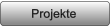 Projekte