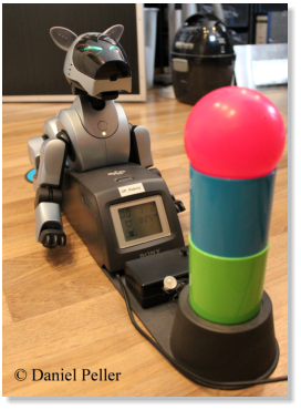 Mein aibo Vergisst nach längerer Ruhephase in der Vitrine offenbar Datum und Uhrzeit... (Mai 2013)