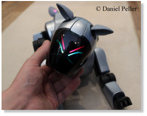 Überraschung! Kinnsensor berührt. (Mai 2013)