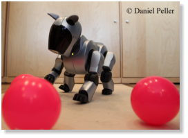 Auch nach mittlerweile 11 Jahren ist mein Aibo noch voll funktionsfähig! (Mai 2013)